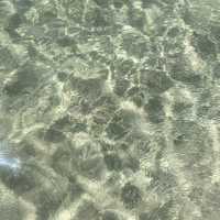 Rottnest Island