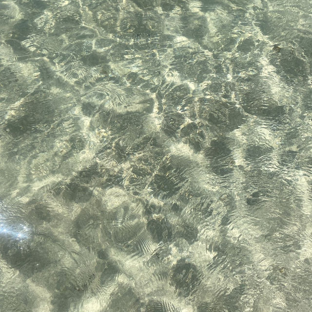 Rottnest Island