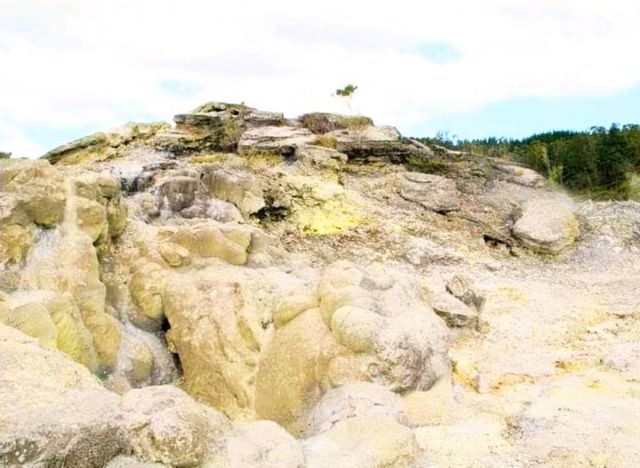 #波胡圖間歇噴泉Pohutu Geyser -紐西蘭羅託魯瓦