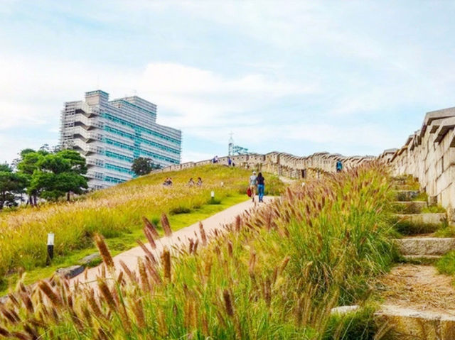 韓國🇰🇷東大門
