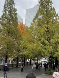 日本大通り（Nihonodori）：横浜の歴史と美しさが交差するクラシックストリート