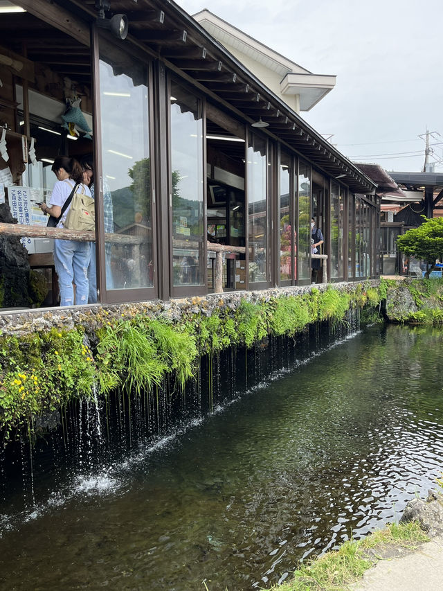 후지산이 보이는 전통마을🗻