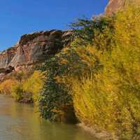 Hiking the Wild Sculpted Canyons of Canyonlands
