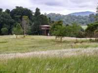เส้นทางศึกษาธรรมชาติหนองผักชี เขาใหญ่