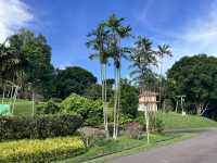Lower Peirce Reservoir – Brisk Walks & Monkey Business