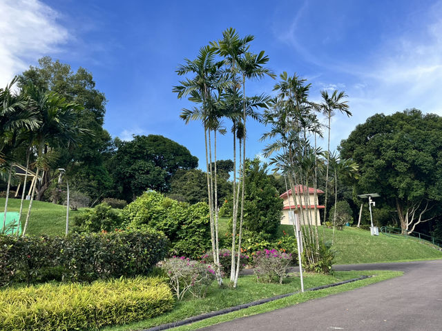 Lower Peirce Reservoir – Brisk Walks & Monkey Business