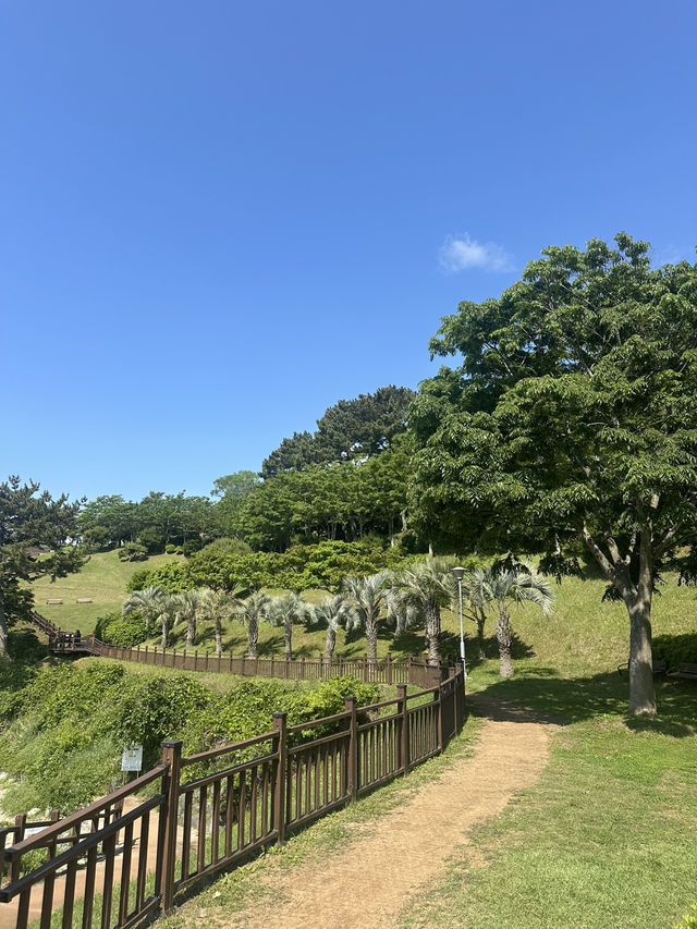 오늘은 통영 이순신공원에서 힐링타임! 🍃