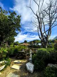 ตากฟ้าคาเฟ่ - บ้านสวนณัฐธีร์