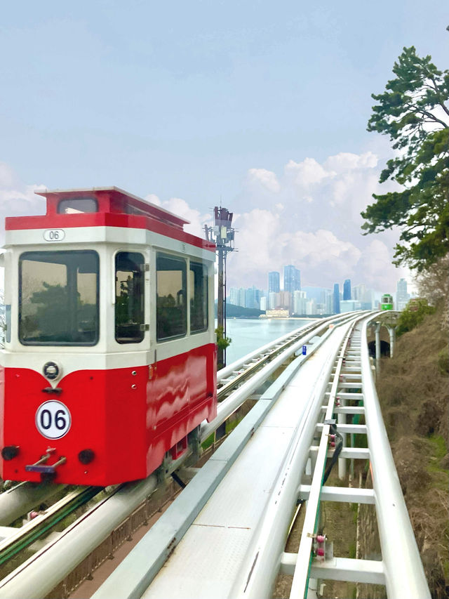 【釜山・海雲台】海を望む空中列車と絶景カフェ