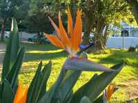 De Waal Park: Where Cape Town Comes to Play