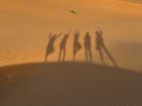 A Magical Journey into the Sahara 🐪🌍 