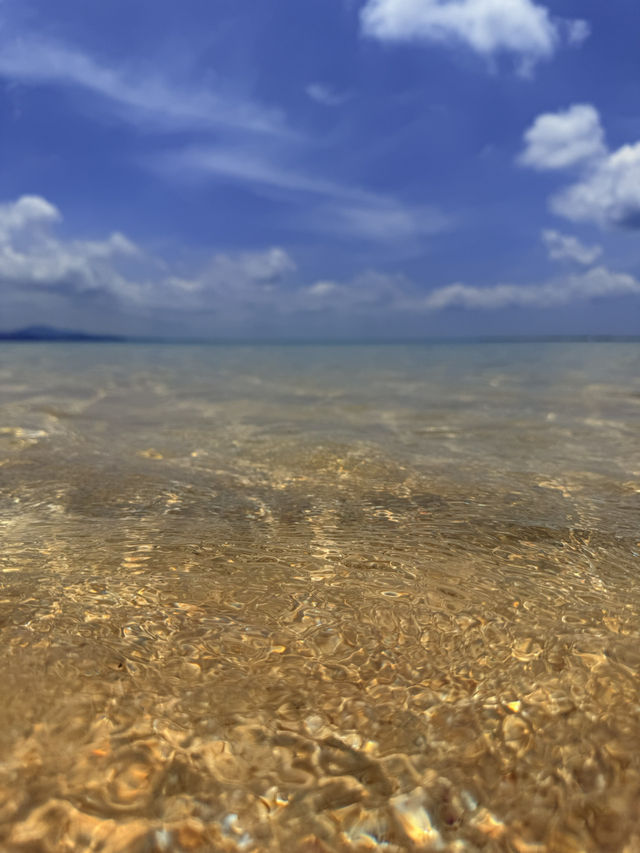 沖繩｜名護的秘境海灘 獨享這片東江海岸清澈海水