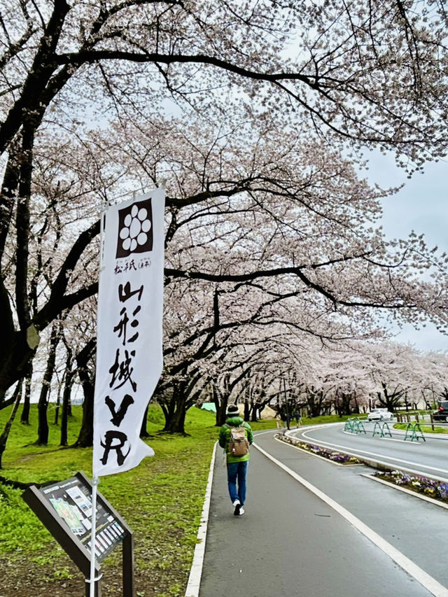 春之旅～～～～仙台賞櫻🌸