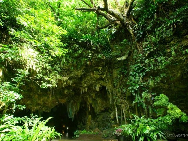 【沖縄石垣】石垣島の隠れたパワースポット！「伊原間サビチ洞」