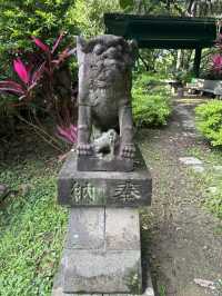 在神域水氣中走進節氣——端午日訪圓山水神社