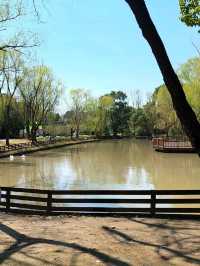 Gucun Park: Your Summer Escape