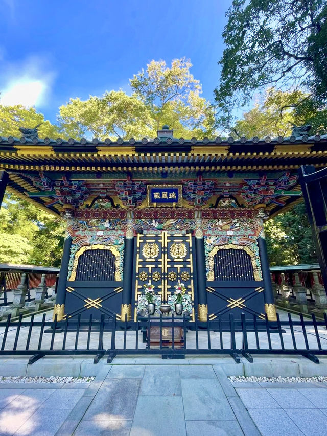 A Day of Serenity and Nature in Sendai ⛩️🌲