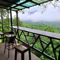 คาเฟ่อุทยานฯ จุดชมวิวเขา วิวทะเลหมอก