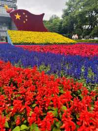🌸 A Bloom-Filled Getaway to China’s Eternal Spring City🌸