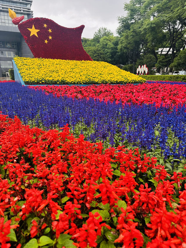 🌸 A Bloom-Filled Getaway to China’s Eternal Spring City🌸