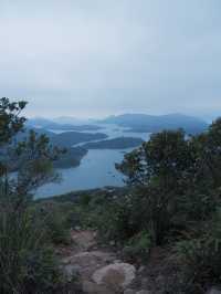 一小時登頂：賞「西貢千島湖」開揚景致 