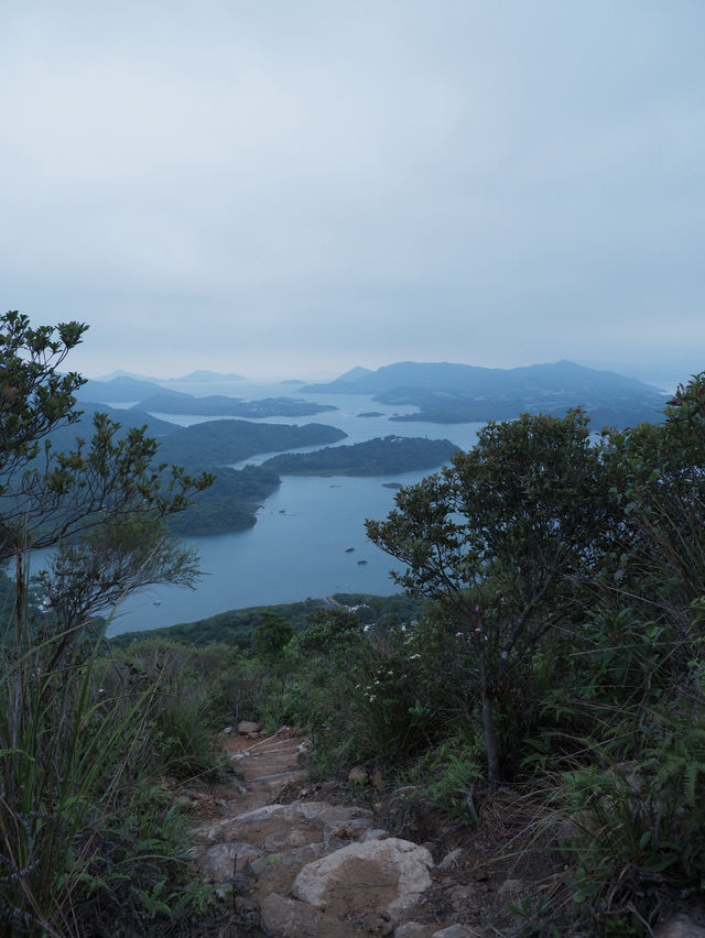 一小時登頂：賞「西貢千島湖」開揚景致 