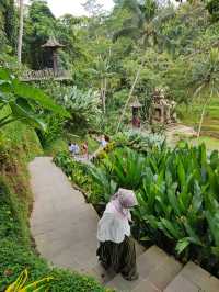 Ubud’s Dreamiest Jungle Playground at Alas Harum