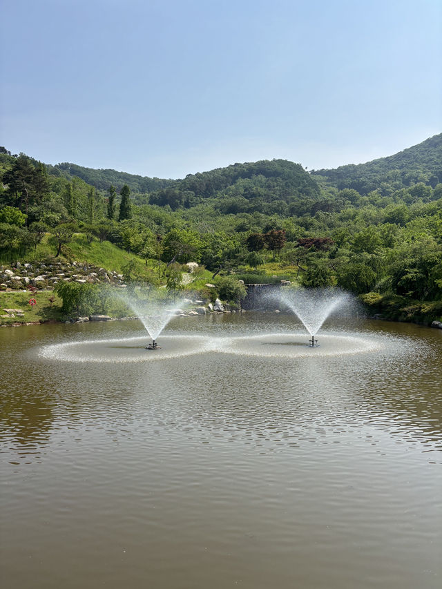 자연을 느끼러 가기 좋은 강화 씨사이드🌳💙