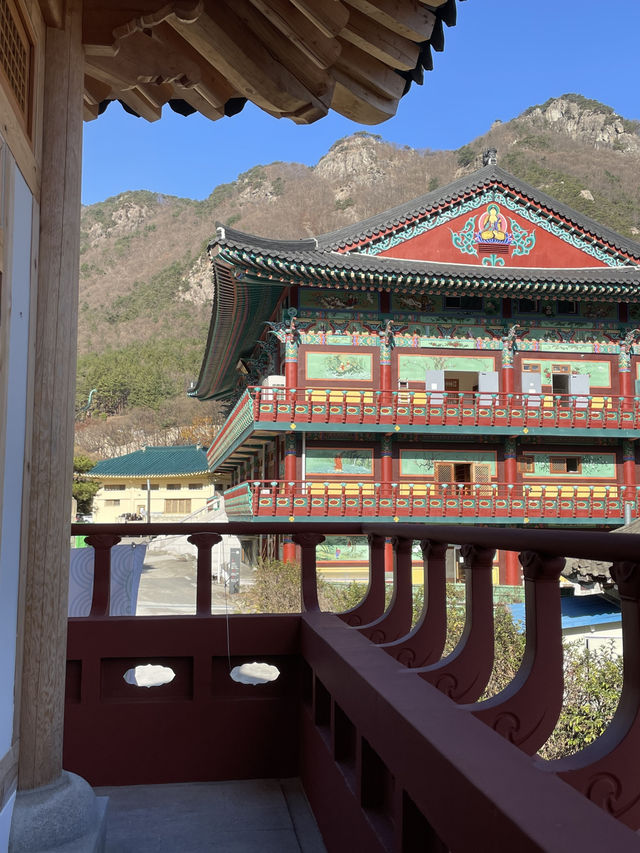 🌿 마음이 머무는 곳, 공주 학림사 오등성원
