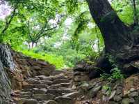 Nature Break in Boeun