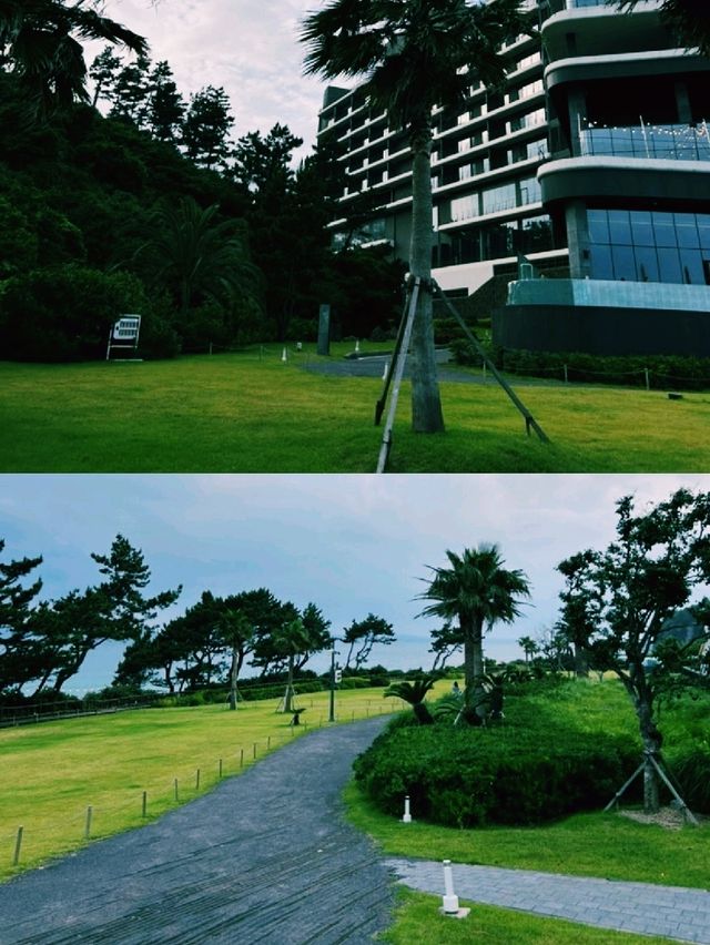 제주 호캉스 완성 – 파르나스 호텔 수영장 집중 후기