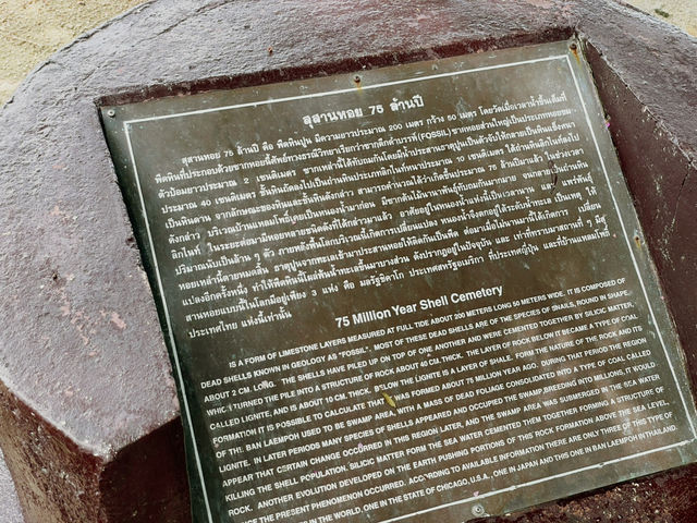 ที่พักกระบี่และสถานที่น่าไป🐚🪸