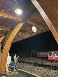 懷念的阿里山森林小火車