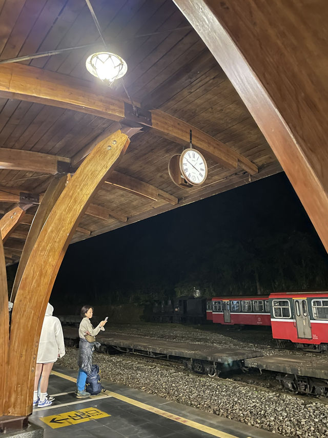 懷念的阿里山森林小火車