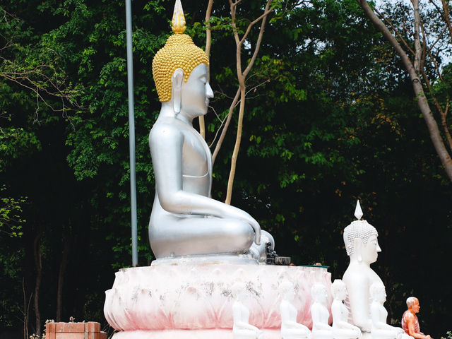วัดป่าพรหมนิมิต