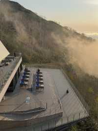 🎯【北海道・富良野雲海テラス（トマム）】朝焼けと雲海が出会う、天空のティータイム 