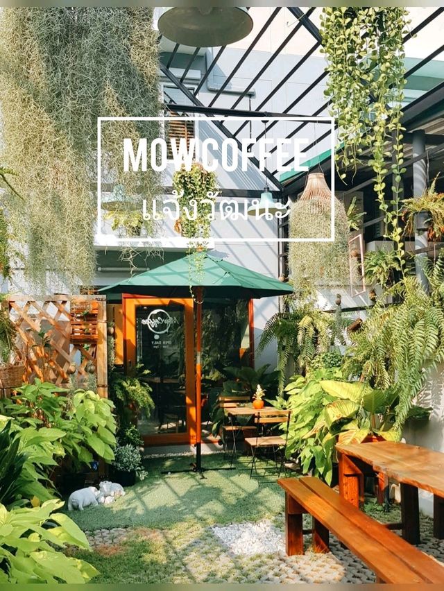 ☕ : MOW COFFEE แจ้งวัฒนะ คาเฟ่ปากเกร็ด นนทบุรี