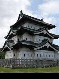 🎯【青森・弘前城】日本一美しい桜とお城のコントラストに感動