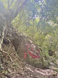 週末去哪裡 ｜ 象山登高望遠野餐趣