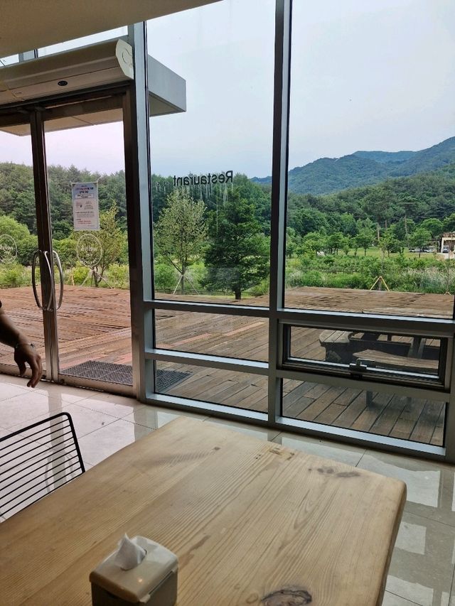 다양한 메뉴가 있는 국립백두대간 수목원 푸드코트🌳