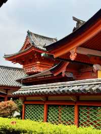 松山｜日本三大八幡造建築 伊佐爾波神社的「必中」傳說
