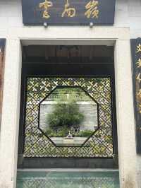A Garden of Healing Wisdom – My Visit to Guangzhou Shennong Caotang TCM Museum