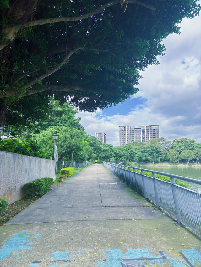 🌿桃園夜鷺生態埤塘｜都市裡的靜謐綠洲，散步療癒又觀鳥