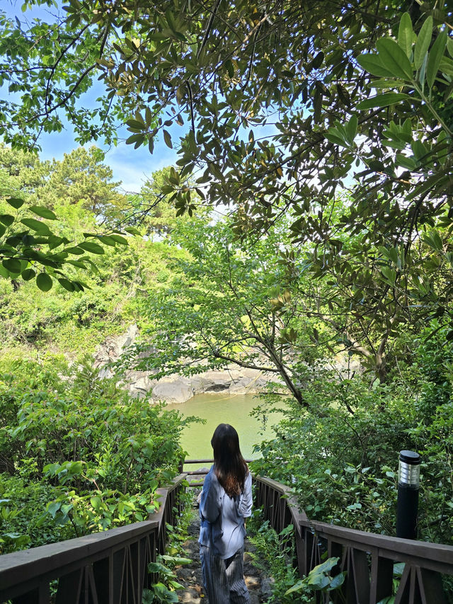 🌿 제주 공항 근처 이런 계곡 보셨나요