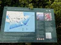 Apollo Bay: A Perfect Summer Getaway on the Great Ocean Road