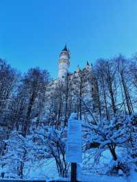 🇩🇪德國必去景點🏰 Neuschwanstein Castle新天鵝堡🦢