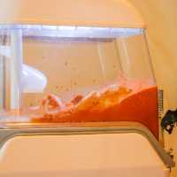 Craft oven สกลนคร