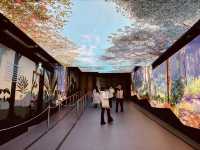 🌆✨ Victoria Peak Weekend Escape: Hong Kong’s Sky-High Paradise