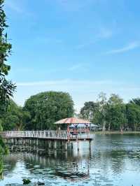 Urban Escape: The Calm of Taman Tasik Cyberjaya