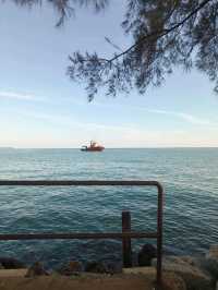 Walk, Breathe, Repeat: The Simple Joy of PD Waterfront